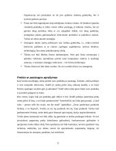 Verslo planas, jo rengimas 10 puslapis