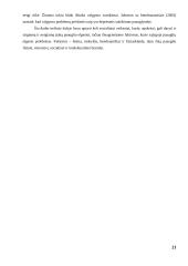 Paauglių elgesio problemas sąlygojantys socialiniai veiksniai 20 puslapis