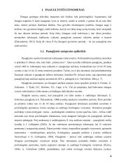 Paauglių elgesio problemas sąlygojantys socialiniai veiksniai 3 puslapis