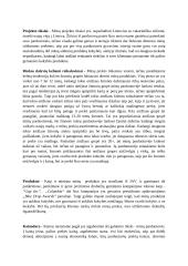 Sporto prekių parduotuvės įkūrimas 10 puslapis