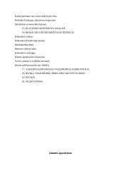 Sporto prekių parduotuvės įkūrimas 3 puslapis