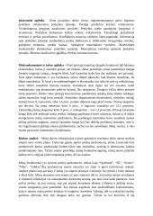 Sporto prekių parduotuvės įkūrimas 8 puslapis