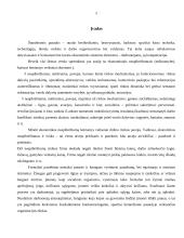 Verslo rizika 2 puslapis