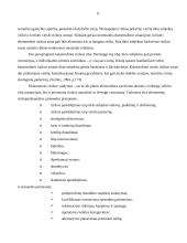 Verslo rizika 11 puslapis