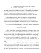 Verslo rizika 12 puslapis