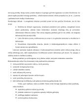 Verslo rizika 13 puslapis