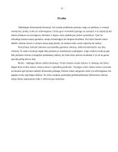 Verslo rizika 15 puslapis