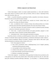 Verslo rizika 3 puslapis