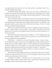 Verslo rizika 4 puslapis