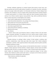 Verslo rizika 5 puslapis