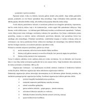 Verslo rizika 6 puslapis