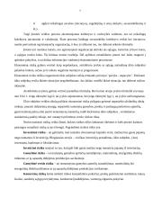 Verslo rizika 7 puslapis