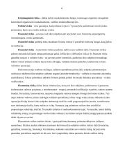 Verslo rizika 8 puslapis