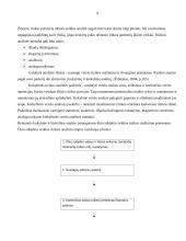 Verslo rizika 9 puslapis