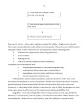 Verslo rizika 10 puslapis