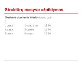 Struktūros c++ 16 puslapis