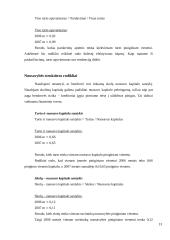 Verslo rizika ir jos mažinimo galimybės: skaitmeninės įrangos kūrimas "Canon Inc." 13 puslapis