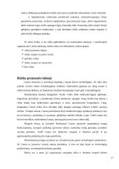 Verslo rizika ir jos mažinimo galimybės: skaitmeninės įrangos kūrimas "Canon Inc." 17 puslapis