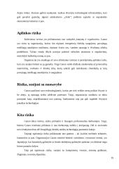 Verslo rizika ir jos mažinimo galimybės: skaitmeninės įrangos kūrimas "Canon Inc." 19 puslapis