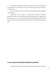 Verslo rizika ir jos mažinimo galimybės: skaitmeninės įrangos kūrimas "Canon Inc." 20 puslapis