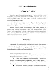 Verslo rizika ir jos mažinimo galimybės: skaitmeninės įrangos kūrimas "Canon Inc." 3 puslapis