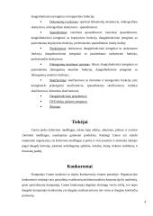 Verslo rizika ir jos mažinimo galimybės: skaitmeninės įrangos kūrimas "Canon Inc." 4 puslapis