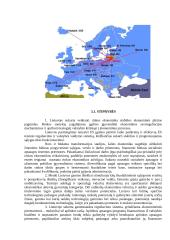 Verslo vystymo sąlygos Lietuvoje 11 puslapis