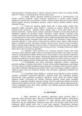 Verslo vystymo sąlygos Lietuvoje 13 puslapis