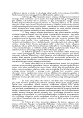 Verslo vystymo sąlygos Lietuvoje 16 puslapis