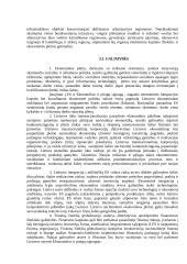 Verslo vystymo sąlygos Lietuvoje 17 puslapis