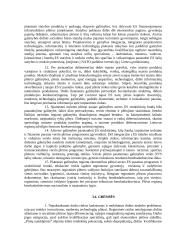 Verslo vystymo sąlygos Lietuvoje 19 puslapis