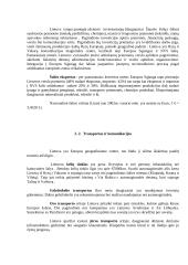 Verslo vystymo sąlygos Lietuvoje 7 puslapis