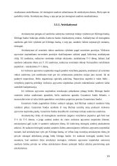 Vertybiniai popieriai (referatas) 13 puslapis
