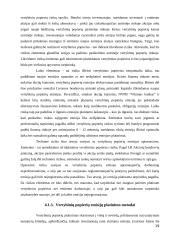 Vertybiniai popieriai (referatas) 19 puslapis