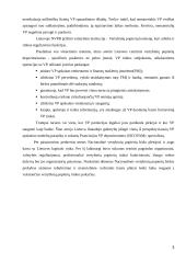 Vertybiniai popieriai (referatas) 3 puslapis