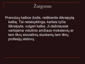 Pristatymas apie žargonus 2 puslapis