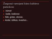 Pristatymas apie žargonus 11 puslapis