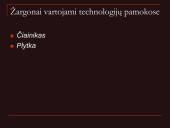 Pristatymas apie žargonus 12 puslapis