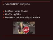 Pristatymas apie žargonus 14 puslapis