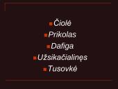 Pristatymas apie žargonus 4 puslapis