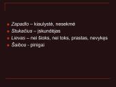 Pristatymas apie žargonus 7 puslapis