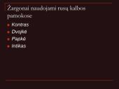 Pristatymas apie žargonus 9 puslapis