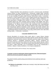 Grožinio teksto interpretavimas 13 puslapis