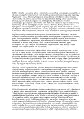 Jono Aisčio eilėraščio „Poezija“ interpretacija 3 puslapis