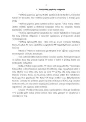 Vertybinių popierių vertinimas 2 puslapis