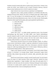 Vertybinių popierių vertinimas 13 puslapis