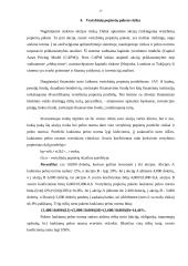 Vertybinių popierių vertinimas 15 puslapis