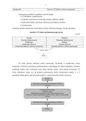 Vertybinių popierių vertinimas 6 puslapis