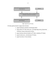 Vertybinių popierių vertinimas 8 puslapis