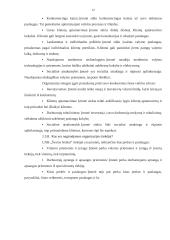 Organizacijos analizė 11 puslapis